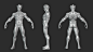 Stylized Warrior Anatomy Blockout