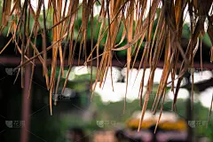 茅屋屋顶,褐色,干草,水平画幅,无人,夏天,篮子,草,特写,泰国