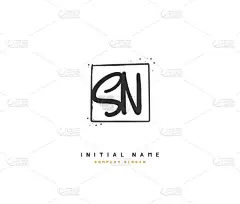 SN Sn美女矢量初始标识，笔迹标识，初始签名，婚礼，时尚，珠宝，精品，花卉和植物，任何公司或企业的