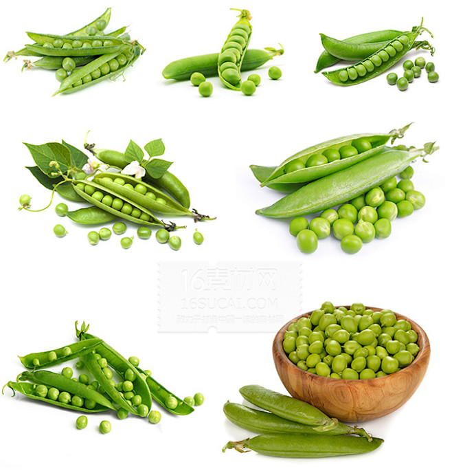 精美绿色豌豆写真素材高清图片