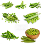 精美绿色豌豆写真素材高清图片