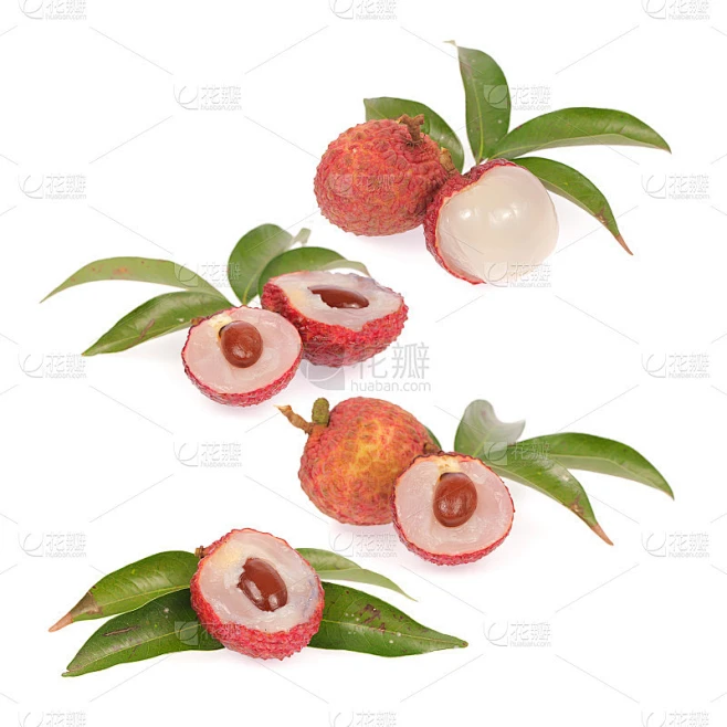 的荔枝素材-花瓣网