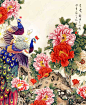 【国画工笔画 ---- 孔雀】 
