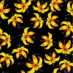 黑色的无缝的芙蓉花。金色的图案纹理。米色热带背景。黄花异国情调。花木槿。壁纸。植物叶。春天的纺织品。