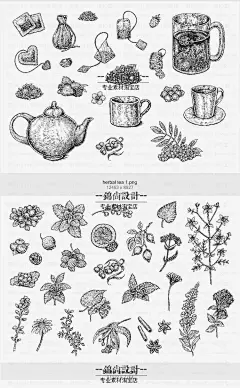 AI135 手绘素描黑白线稿英式花茶果茶花朵树叶子茶杯PNG免抠素材-淘宝网