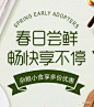 文字排版