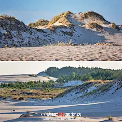 沙滩照片素材 灌木丛沙丘背景插图 电影概念游戏场景插画设计-淘宝网
