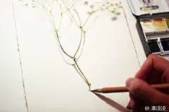 跃然纸上的唯美满天星手绘插画图片