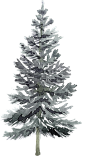 星夜水彩冬季金箔树木金箔月亮麋鹿圣诞元素免抠PNG元素手账素材 (31)