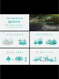 问问哇采集到植物景观