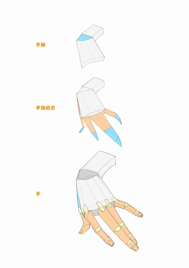 手部动态结构！动态节点核心要点解析！ -...