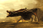 General 2000x1333 Game of Thrones Daenerys Targaryen dragon fire TV series