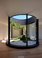 【家里天井中的“宠物树”…】#设计图舍-室内##设计图舍-景观#