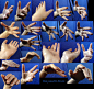 Hand Pose-Foreshortening/Perspective 1 by Melyssah6-Stock