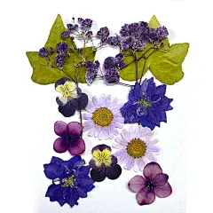 干花压花贴脸材料包美甲滴胶素材包押花diy材料包亲子活动手工包