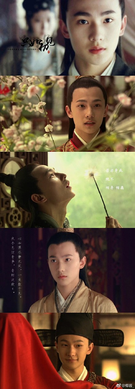 杨洋贾宝玉