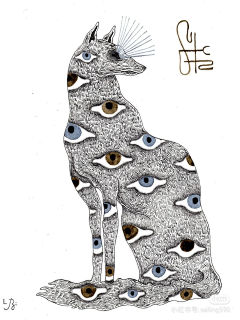 独木舟采集到猫