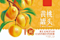 四位数稿费的插画包装设计-—黄桃罐头 - 小红书