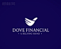 Dove Financial鸽子金融商标设计 <a class="text-meta meta-tag" href="/search/?q=Logo">#Logo#</a>