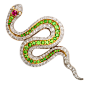 American Victorian Jeweled Snake Brooch