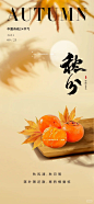 秋分海报|秋分秋分昼夜平分|审美提升