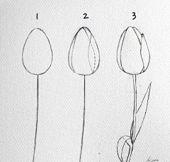 D-安白采集到插画-练习