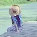 鯟京巷荱绽魴の薰衣愺