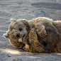Pose-tendresse-photography-by-Jean-Pierre-Perroud23.jpg (600×600)