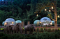 jungle bubbles at luxury resort in thailand let guests sleep alongside elephants