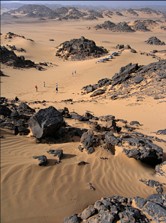 guoce采集到场景