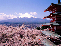 ♡兔子尾巴掉了♛采集到日本