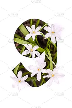 第九:白色模板，上面有小花