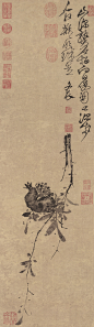 明  徐渭 《榴实图》 台北故宫博物院