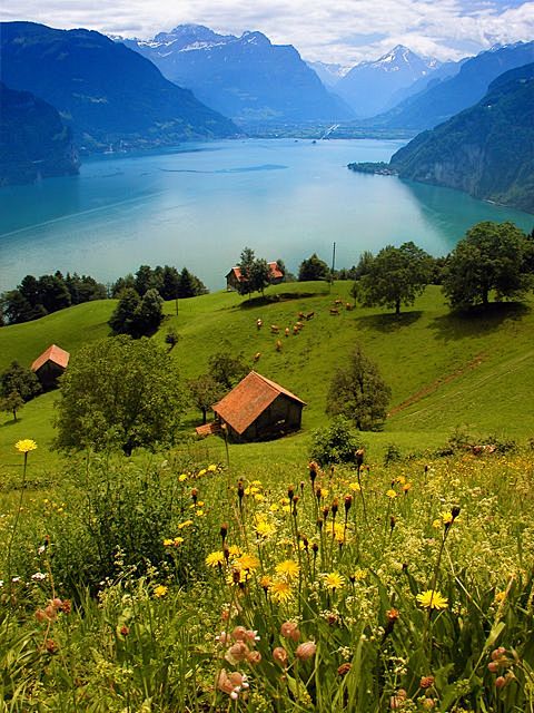 卢塞恩湖 瑞士
