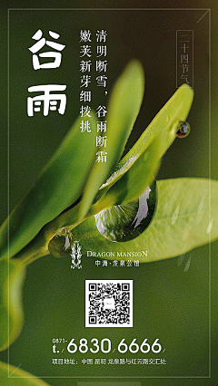 问问月亮采集到节气