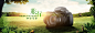 相机banner