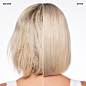 no.0 before and after blonde