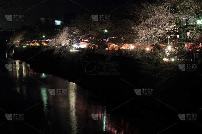 横滨,夜晚,日本,樱桃树,河流,奥卡河,花见节,神奈川县,自然,水