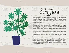 文字,室内植物,华丽的,花盆,植物群,模板,艺术品,种植,绘制