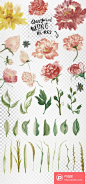 Watercolor Flower DIY Pack  - PS饭团网