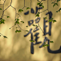 张望，中国佛教文化摄影家，从事佛教摄影创作持续十五载，在深深的佛门中长期与僧人们同吃共住、修禅悟道，并将之感悟体现于创作...
