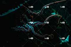 蓝白光数码壁纸