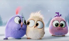 愤怒的小鸟QQ表情，愤怒的小鸟GIF微信图片_第1页_QQ表情包下载_表情党