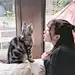 施若妍