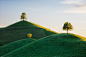 Three Trees by Martin Rak : 1x.com is the world's biggest curated photo gallery online. Each photo is selected by professional curators. Three Trees by Martin Rak