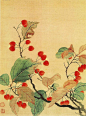 恽南田花卉