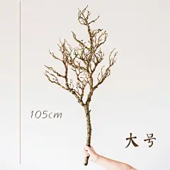 掬涵仿真枯树枝枯山水艺术装饰日式树干橱窗侘寂造景摆件花艺树皮-tmall.com天猫
