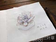 周末的三叶草采集到三叶插画