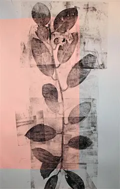 【植物插画系列图集下载】创意叶子草本花卉绘本绘画