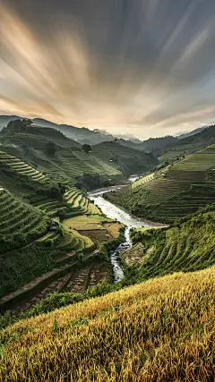 ＠大圣中的战斗菊#唯美#壁纸#手机壁纸#电脑壁纸#风景